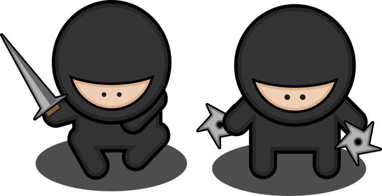 ninja1