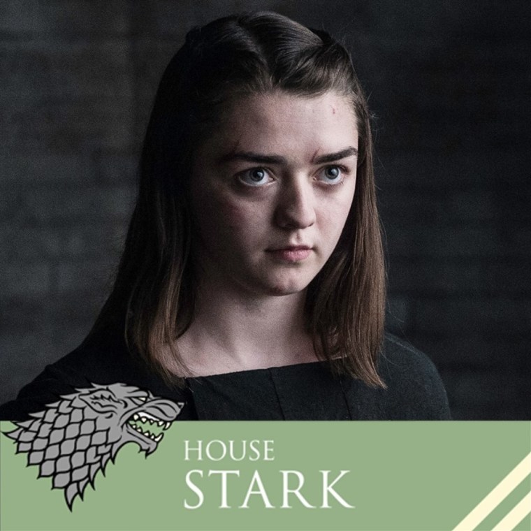 AryaStark1